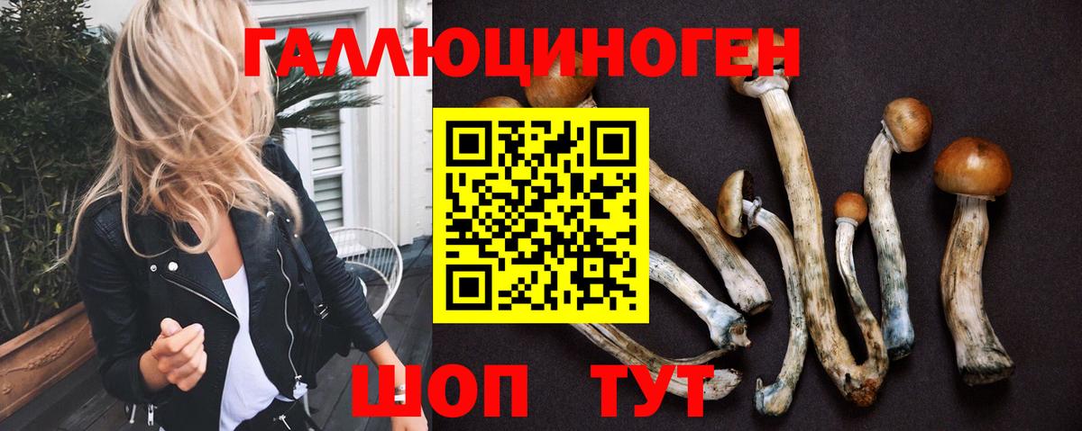 Галлюциногенные грибы GOLDEN TEACHER  Вход с VPN  купить наркотик  Выборг 